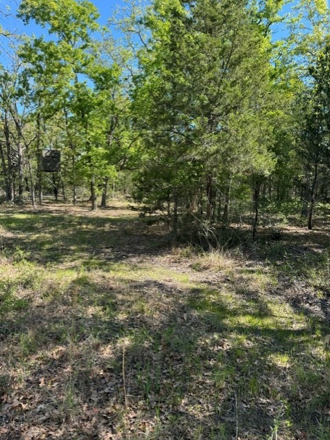 TBD Lcr 426 Road, Mexia, Texas image 10