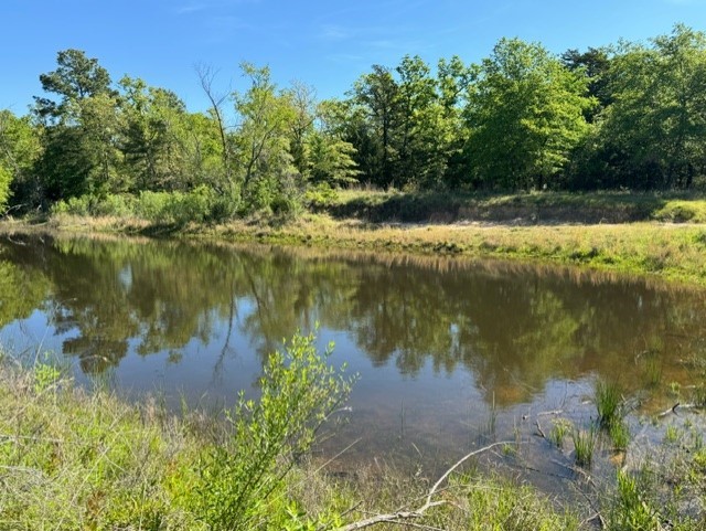 TBD Lcr 426 Road, Mexia, Texas image 3