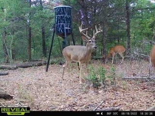 TBD Lcr 426 Road, Mexia, Texas image 17