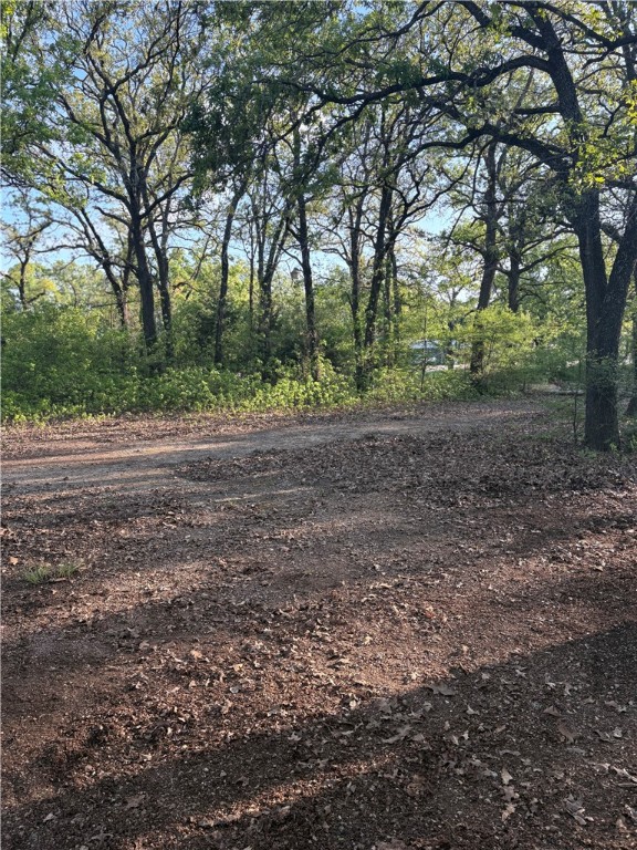 TBD Hwy 84 Highway, Axtell, Texas image 4