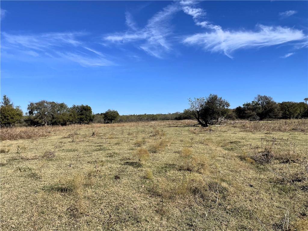 TBD W Hwy 164 Highway, Groesbeck, Texas image 21