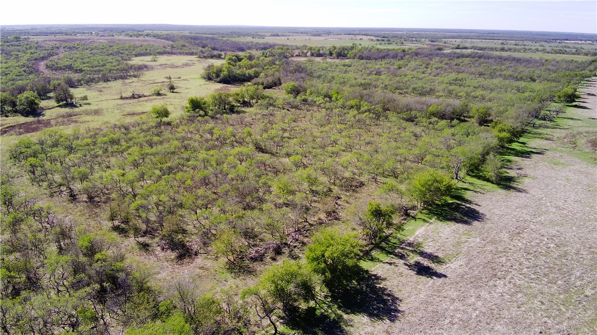 TBD W Hwy 164 Highway, Groesbeck, Texas image 14