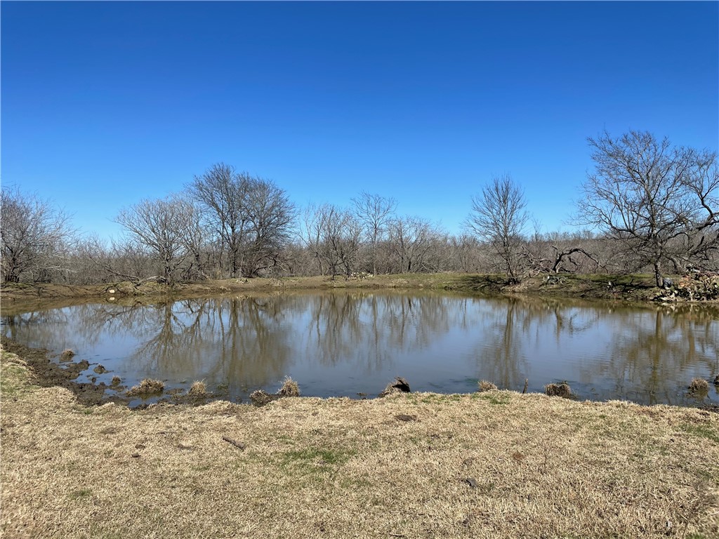 TBD W Hwy 164 Highway, Groesbeck, Texas image 16