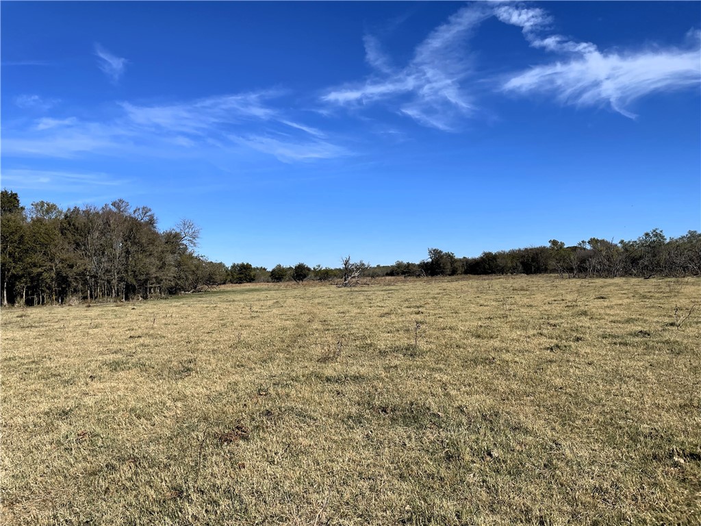 TBD W Hwy 164 Highway, Groesbeck, Texas image 22