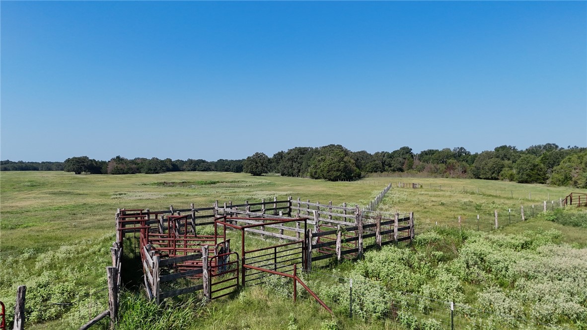TBD State Hwy 14 Highway, Thornton, Texas image 3