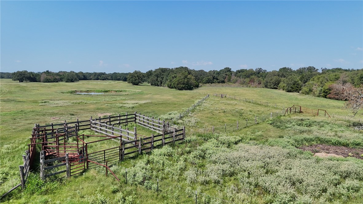 TBD State Hwy 14 Highway, Thornton, Texas image 7