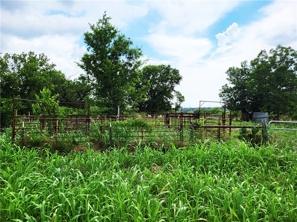 46 Acres Fm 339, Groesbeck, Texas image 12