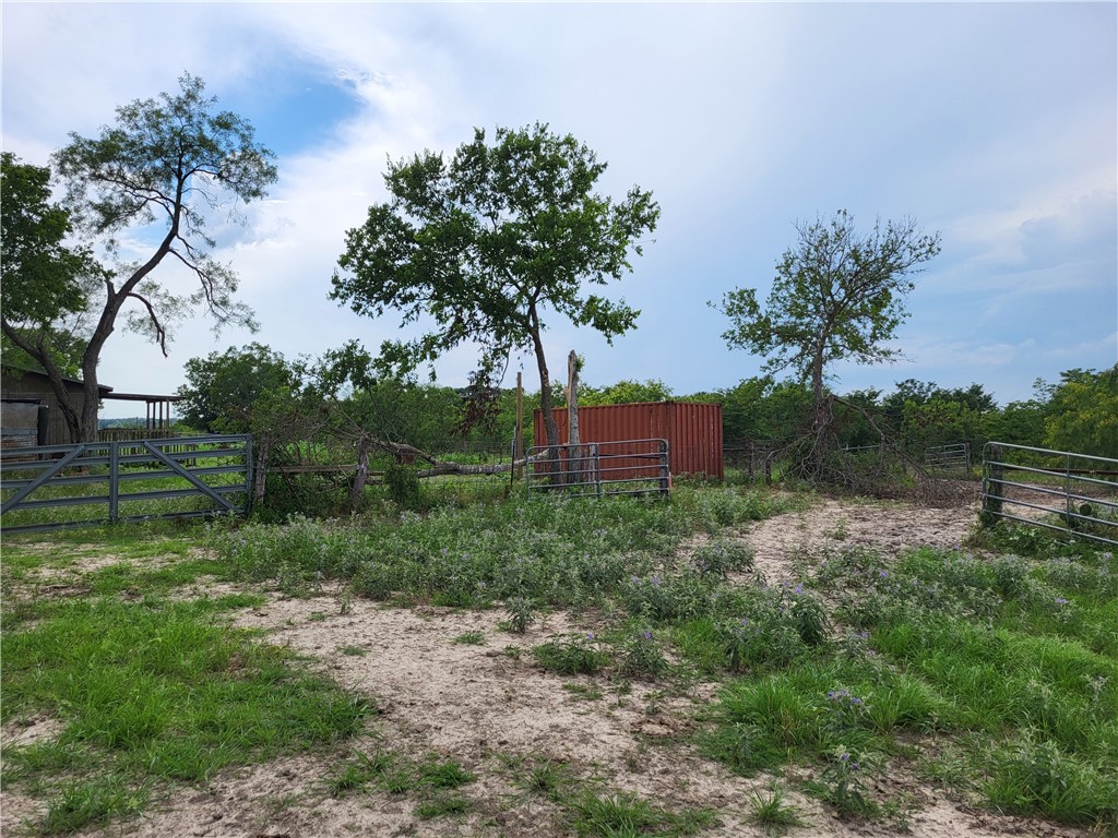 46 Acres Fm 339, Groesbeck, Texas image 5