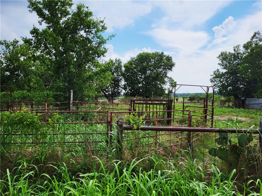 46 Acres Fm 339, Groesbeck, Texas image 13