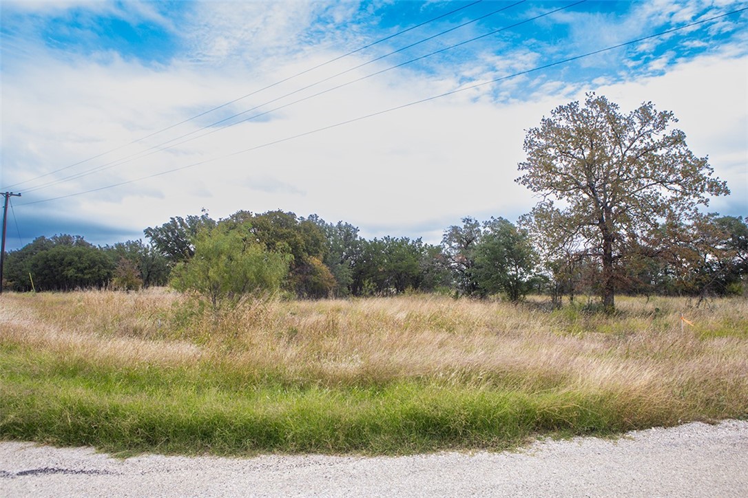 TBD Willie B Drive, Brownwood, Texas image 15