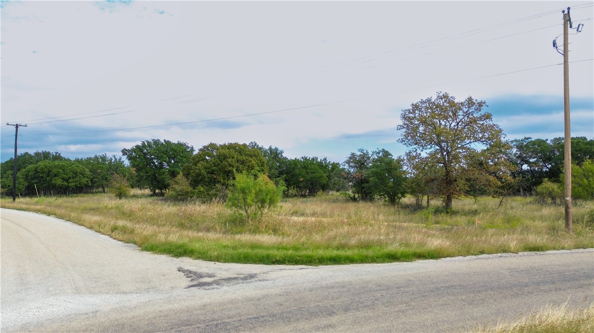 TBD Willie B Drive, Brownwood, Texas image 13