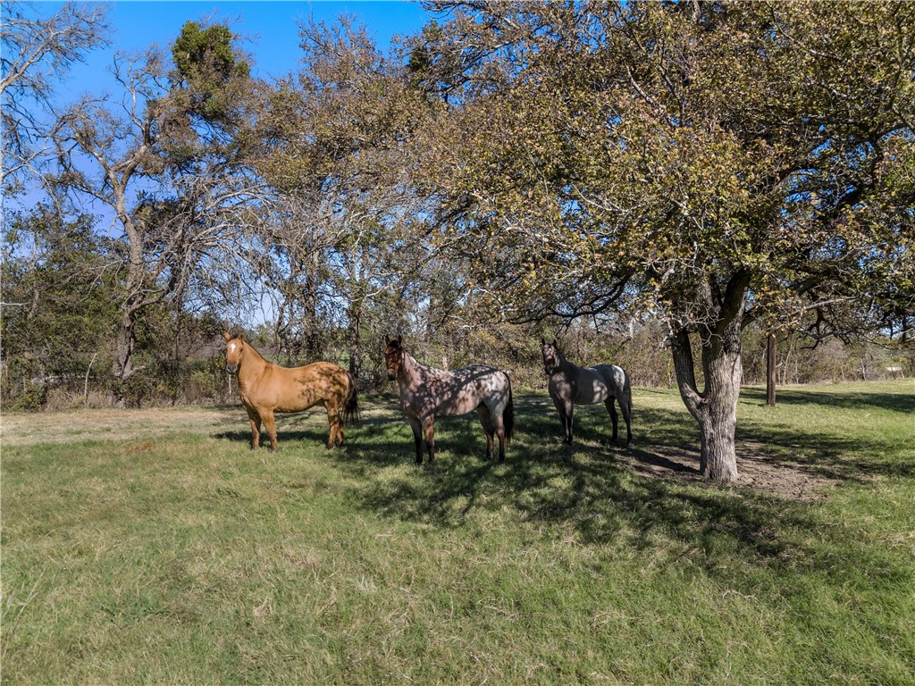 TBD Roadrunner Trail, Riesel, Texas image 2