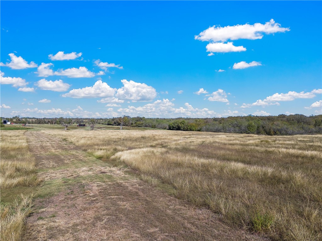 TBD Roadrunner Trail, Riesel, Texas image 14