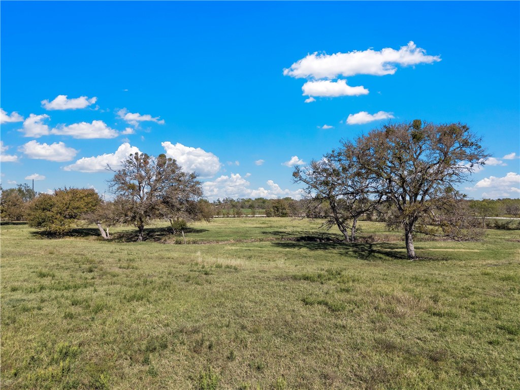 TBD Roadrunner Trail, Riesel, Texas image 13