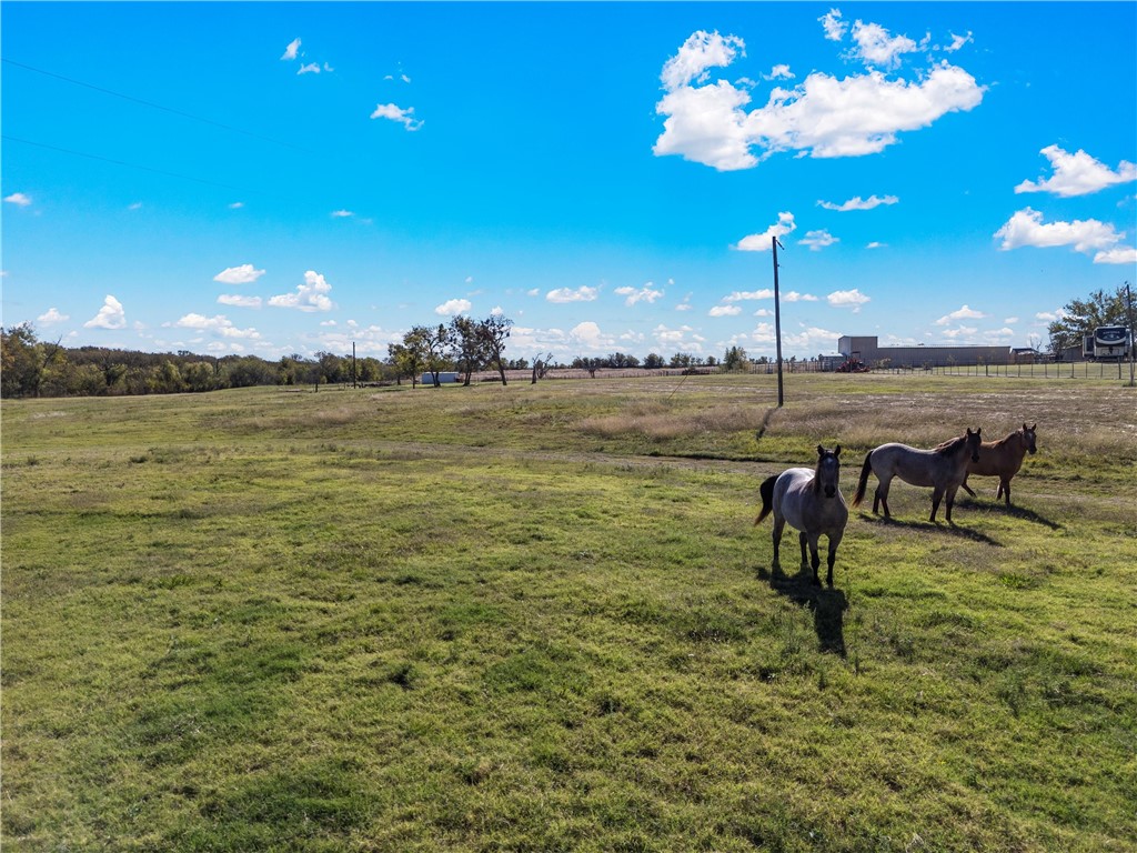 TBD Roadrunner Trail, Riesel, Texas image 12