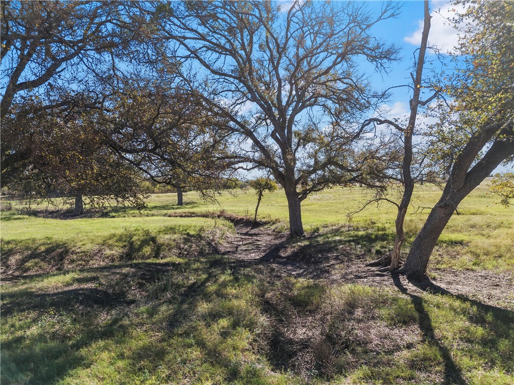 TBD Roadrunner Trail, Riesel, Texas image 18