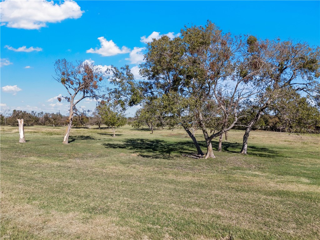 TBD Roadrunner Trail, Riesel, Texas image 19