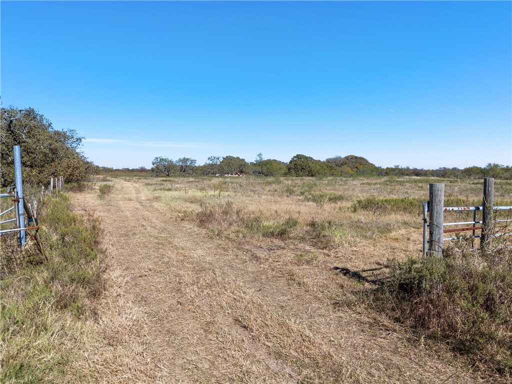 980 League Ranch Road, Axtell, Texas image 11