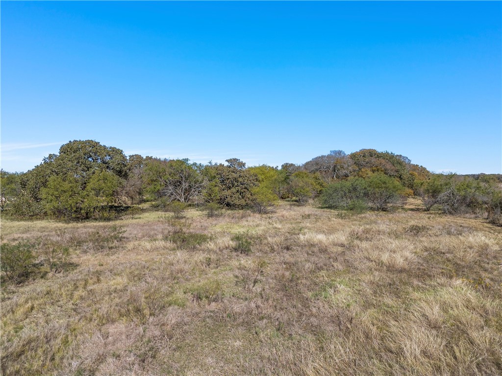 980 League Ranch Road, Axtell, Texas image 6