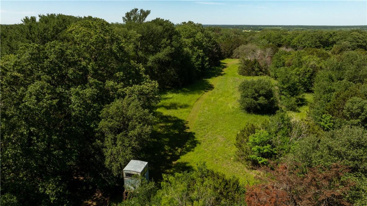 TBD Clater Powell Road, Gholson, Texas image 8