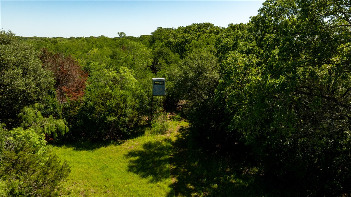 TBD Clater Powell Road, Gholson, Texas image 6