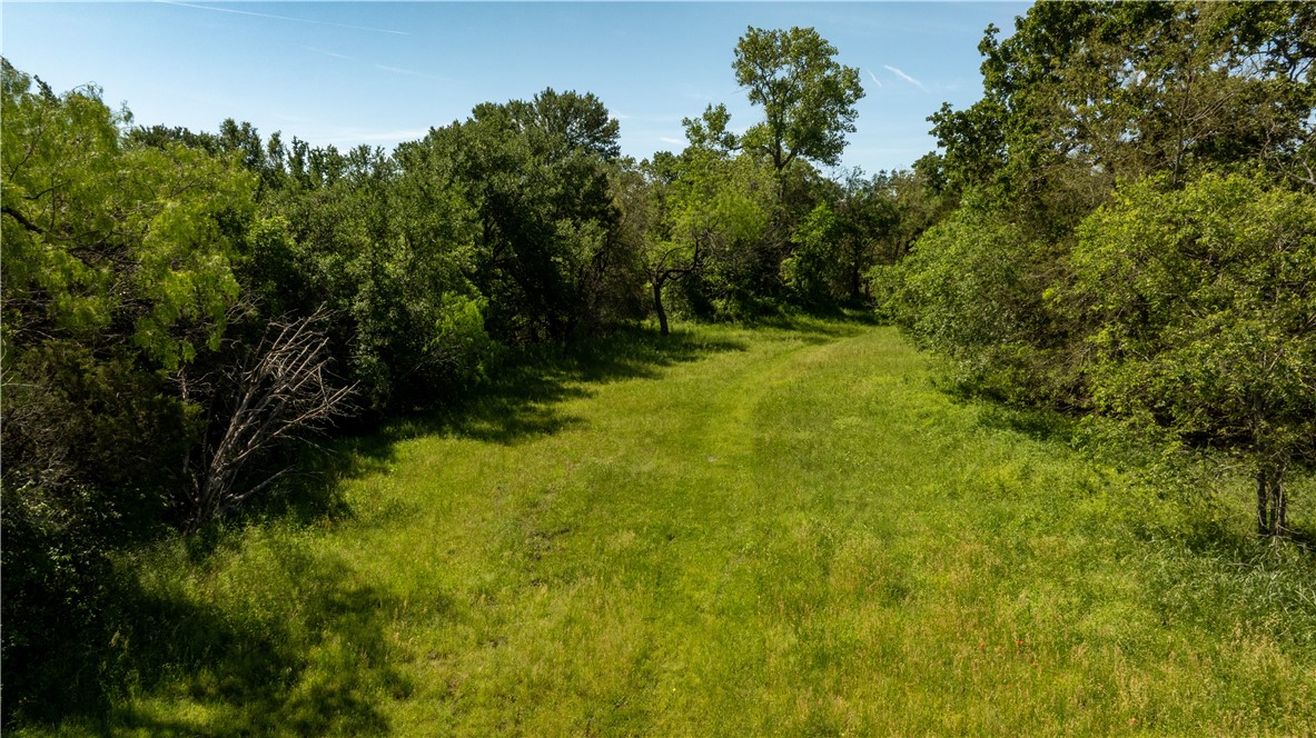 TBD Clater Powell Road, Gholson, Texas image 3