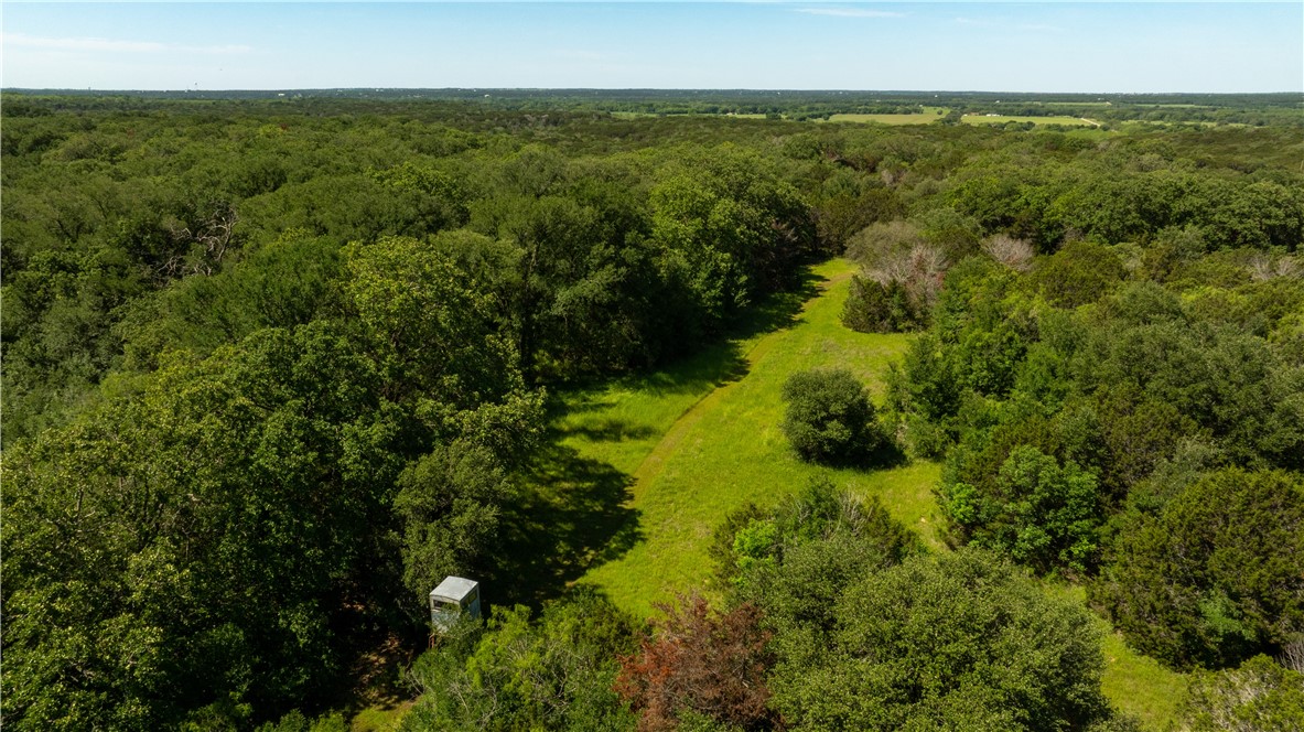 TBD Clater Powell Road, Gholson, Texas image 4