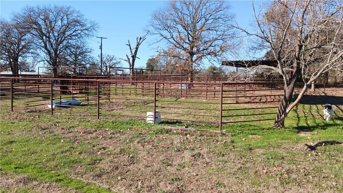 131. Cr 279, Kosse, Texas image 15