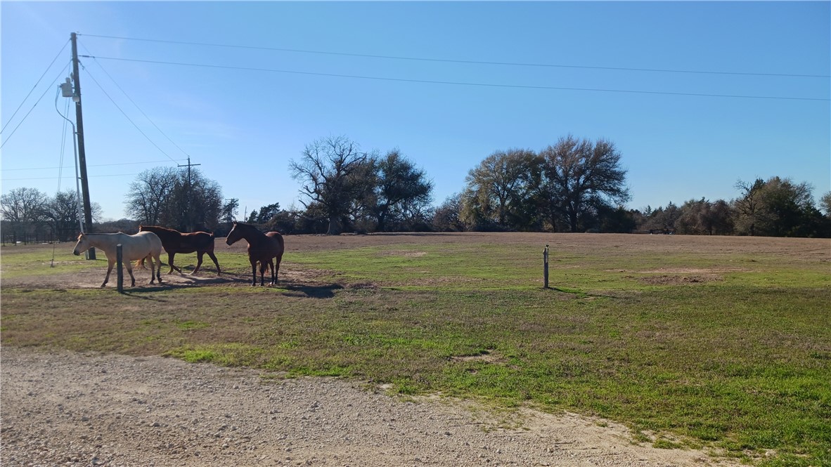 131. Cr 279, Kosse, Texas image 9