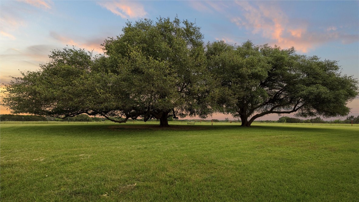 903 Fm 2840, Meridian, Texas image 3