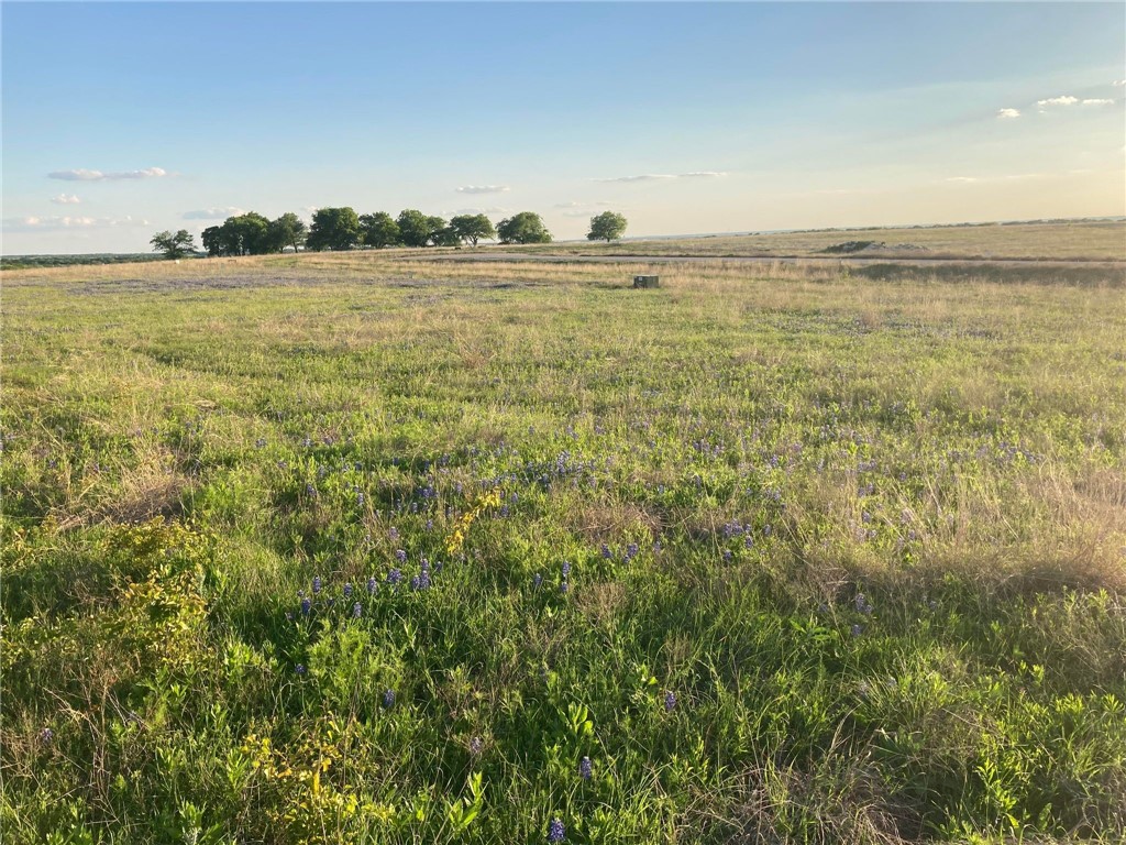 LOT 83 Crest View Trail, Hillsboro, Texas image 10