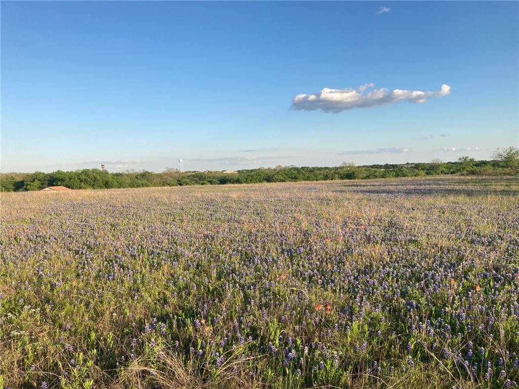 LOT 83 Crest View Trail, Hillsboro, Texas image 7