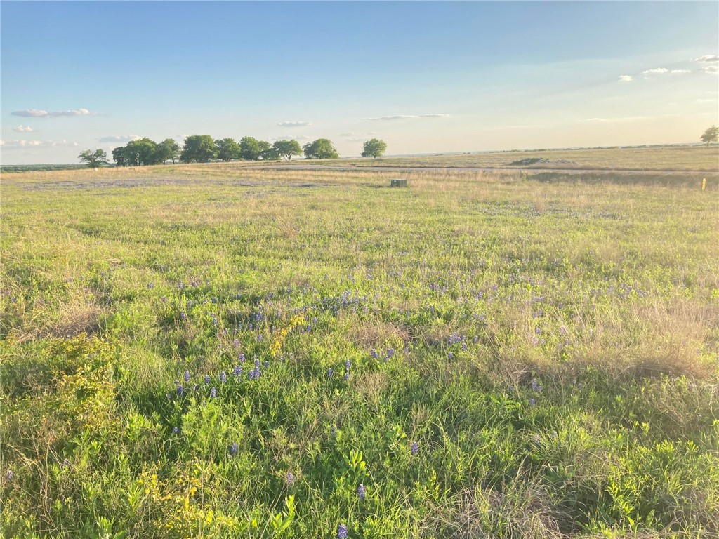 LOT 83 Crest View Trail, Hillsboro, Texas image 9