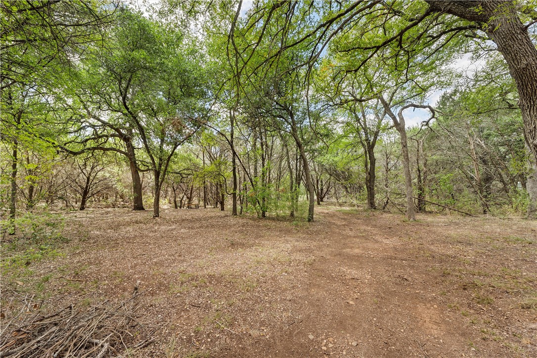 15385 Wortham Bend Road, China Spring, Texas image 42