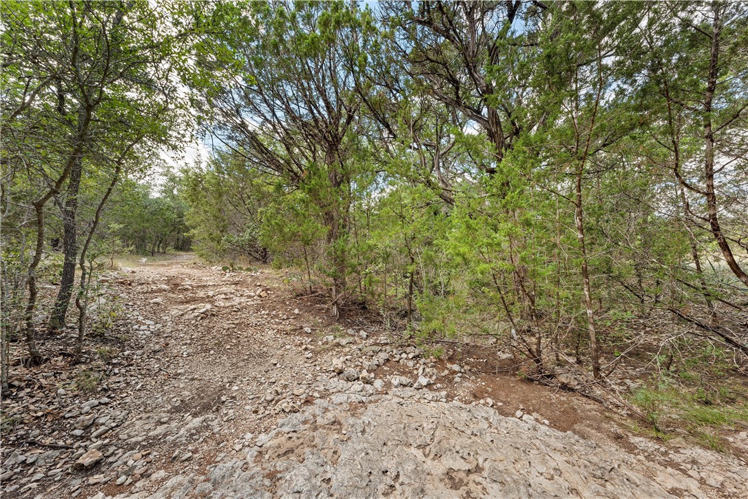 15385 Wortham Bend Road, China Spring, Texas image 46