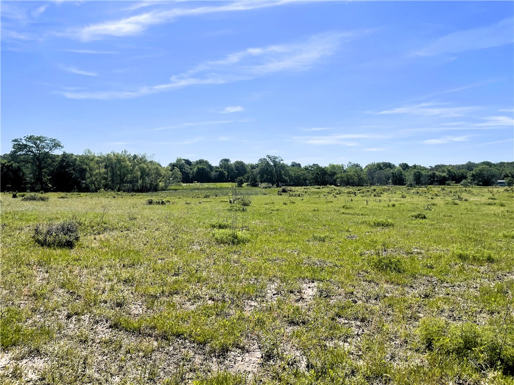 TBD Fm 39 Road, Groesbeck, Texas image 13