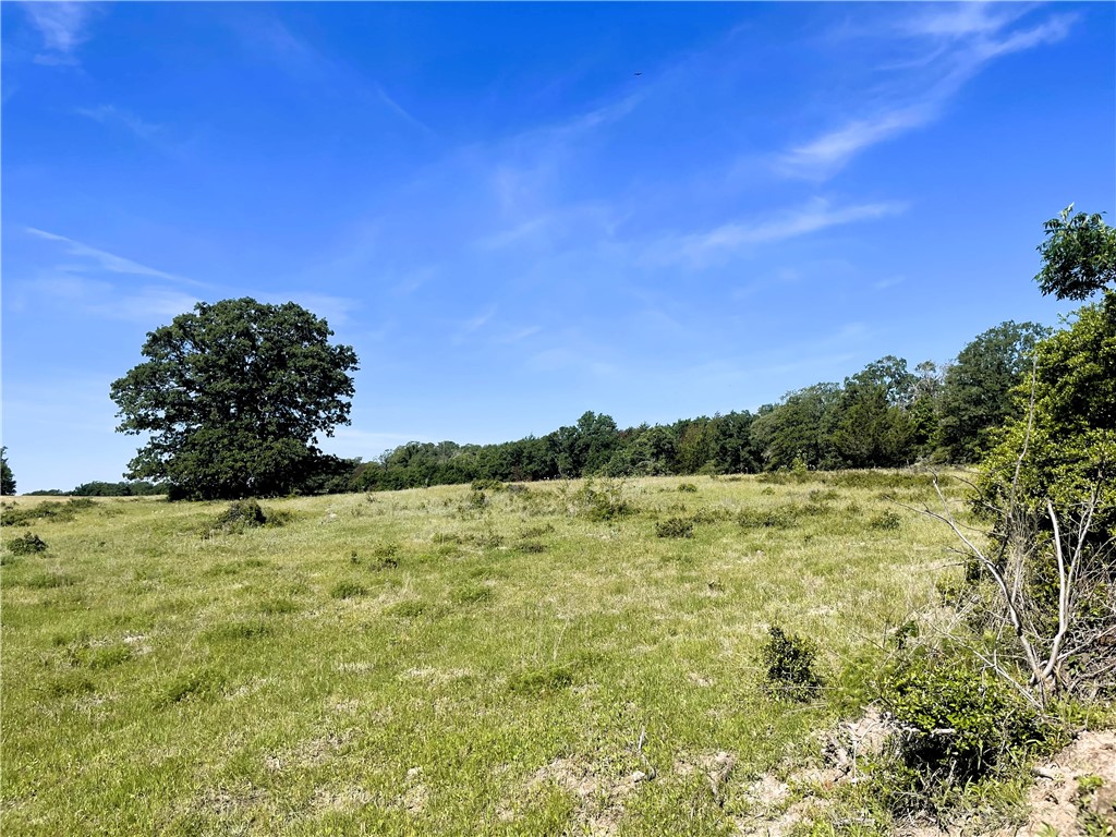 TBD Fm 39 Road, Groesbeck, Texas image 14