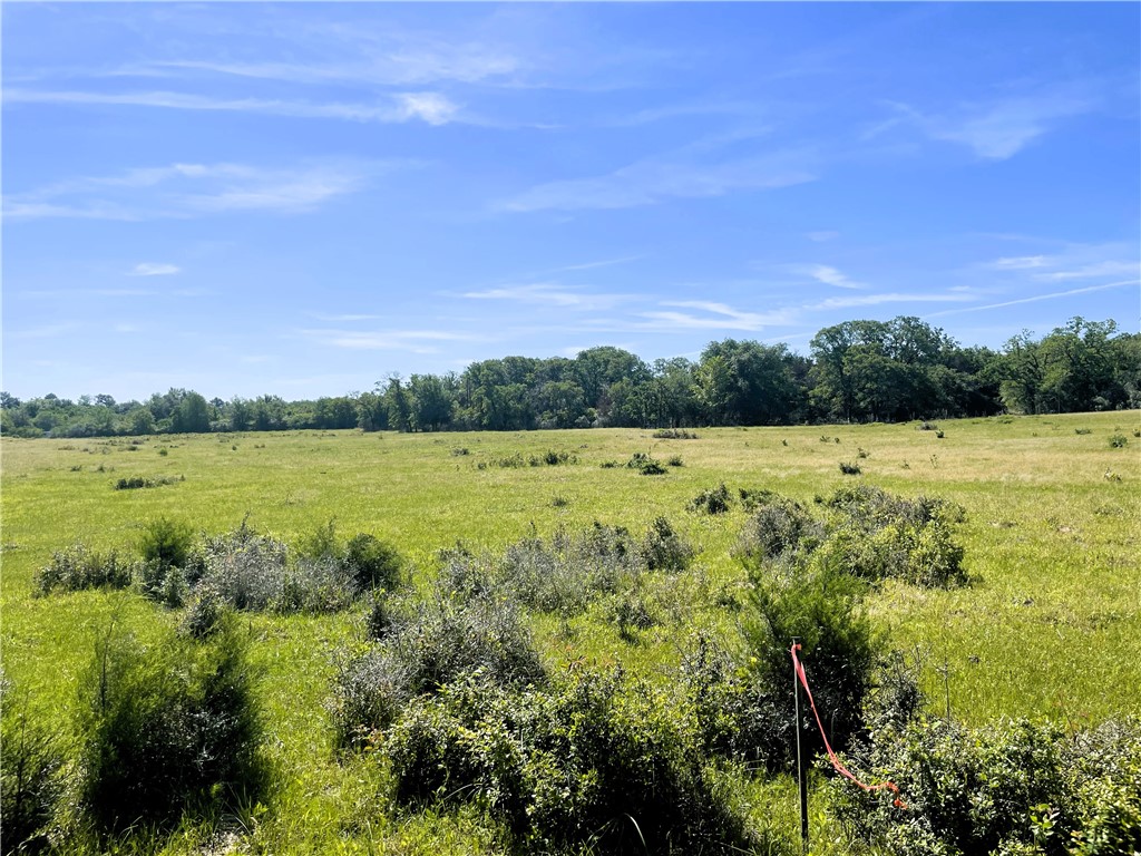 TBD Fm 39 Road, Groesbeck, Texas image 16