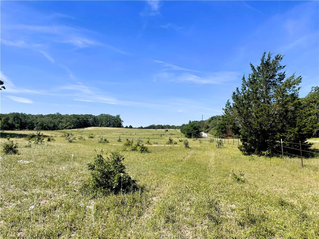 TBD Fm 39 Road, Groesbeck, Texas image 10