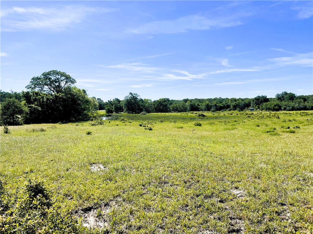 TBD Fm 39 Road, Groesbeck, Texas image 15