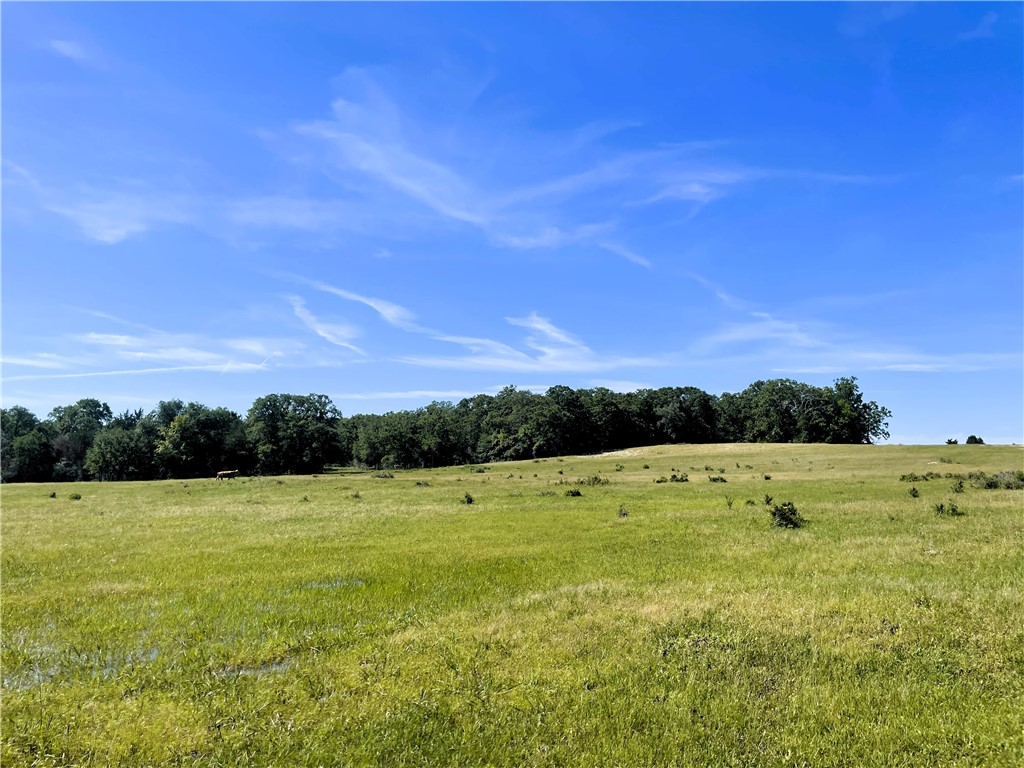 TBD Fm 39 Road, Groesbeck, Texas image 12