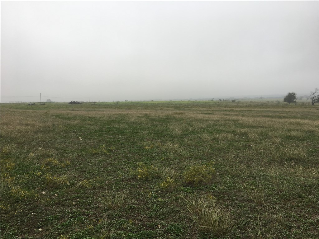 TBD State Highway 36 Highway, Gatesville, Texas image 8