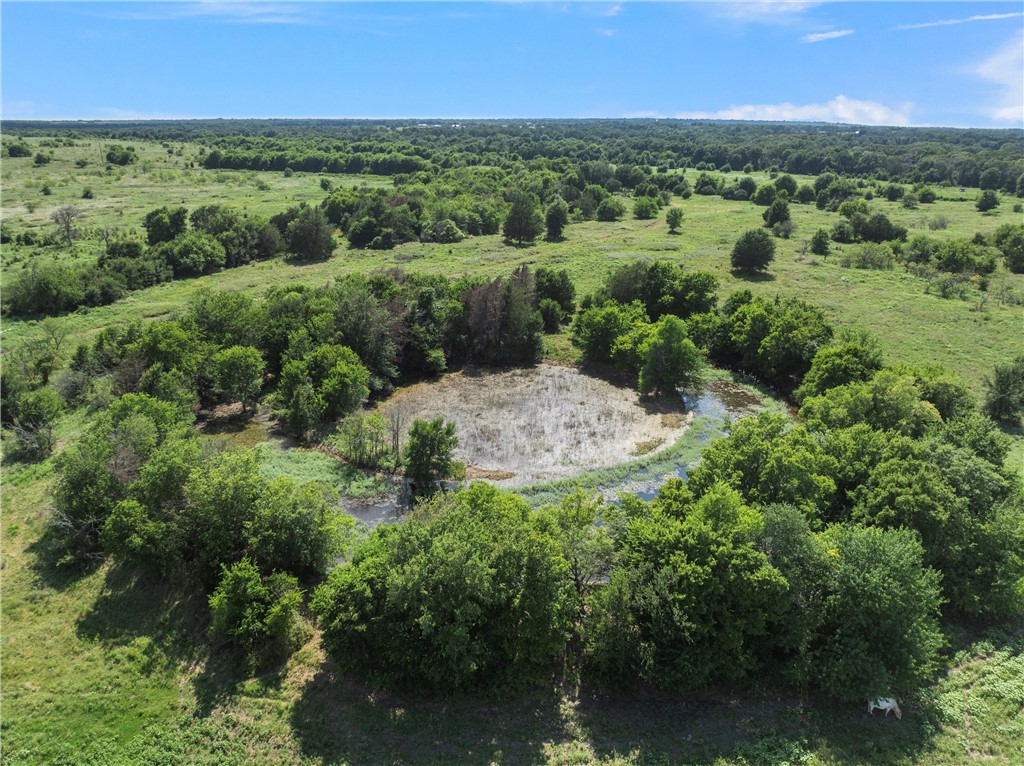 159 Cr 250 Road, Mexia, Texas image 6