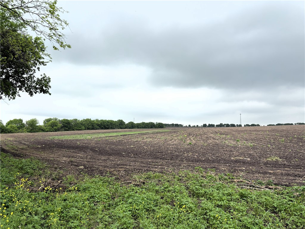 TBD Cr 437 Highway, Eddy, Texas image 8