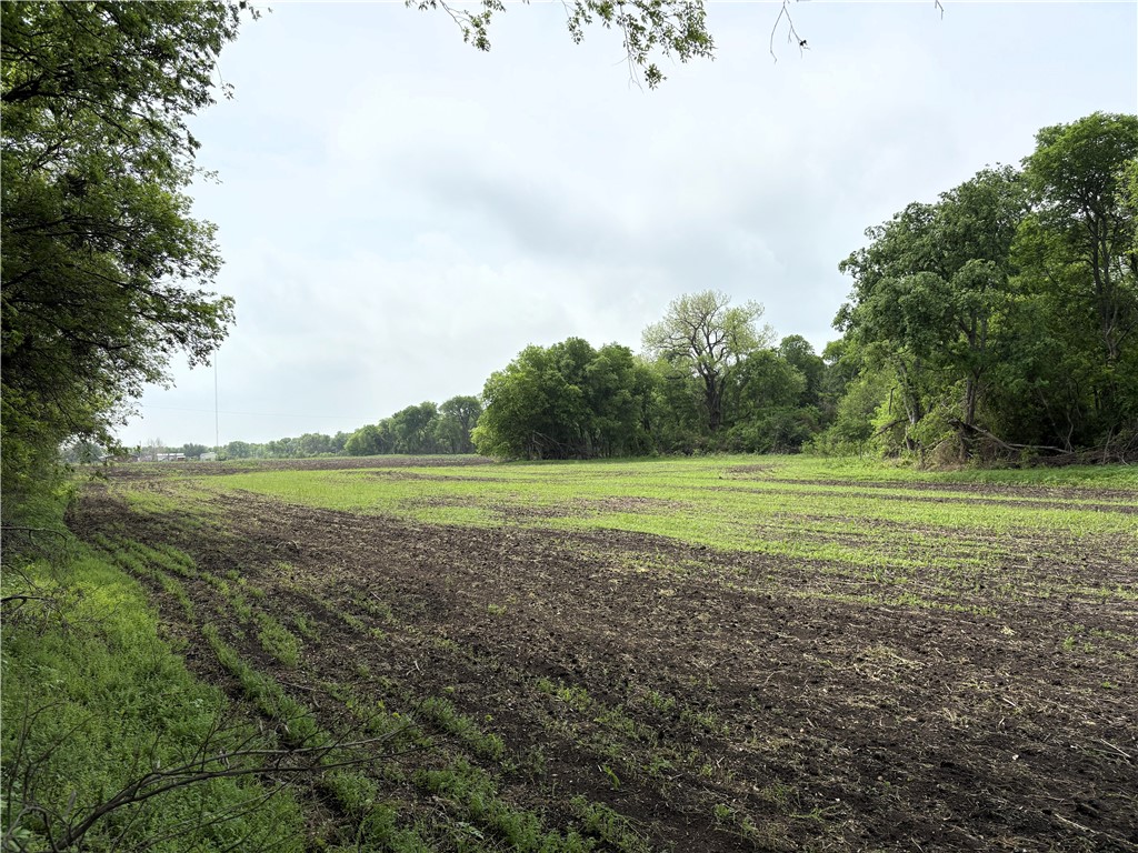 TBD Cr 437 Highway, Eddy, Texas image 9