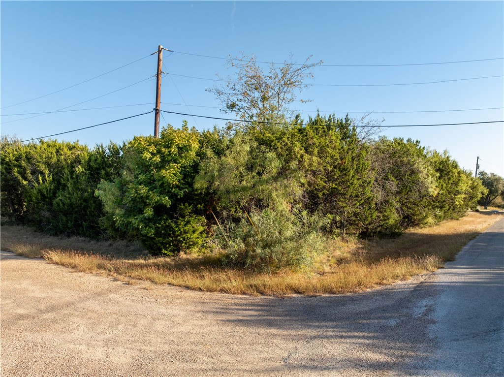 1407 Spanish Oak Trail, Whitney, Texas image 2