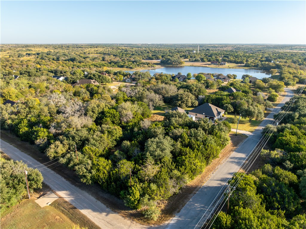 1407 Spanish Oak Trail, Whitney, Texas image 6