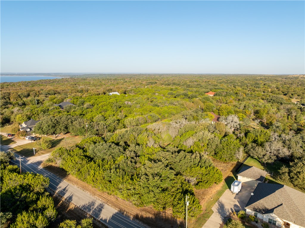 1407 Spanish Oak Trail, Whitney, Texas image 3