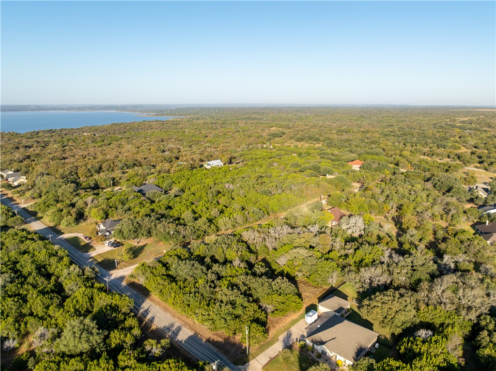 1407 Spanish Oak Trail, Whitney, Texas image 9