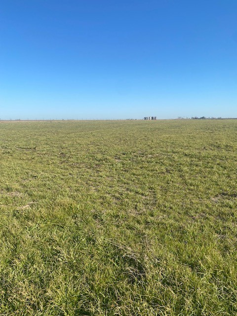 TBD Cr 403, Lott, Texas image 3